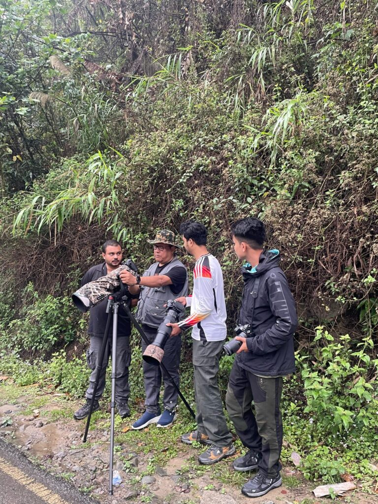 Wildlife guide explaining bird species identification to four attentive guests during forest birding tour.